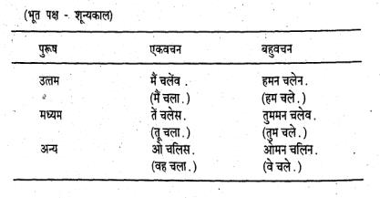 छत्तीसगढ़ी में वचन